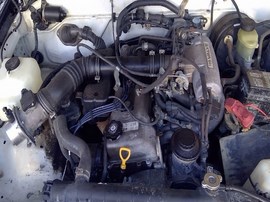 1996 TACOMA, WHITE, LX, EXTD CAB, 2.4L, AT, 2WD. Z25931